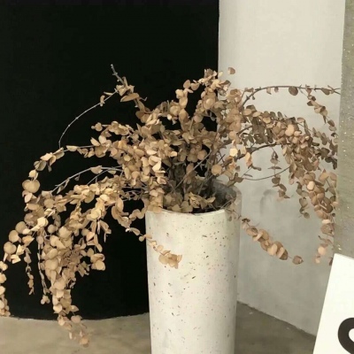 龙井福瑞交流群